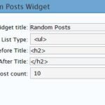 WordPress Plugin: Random Posts Widget